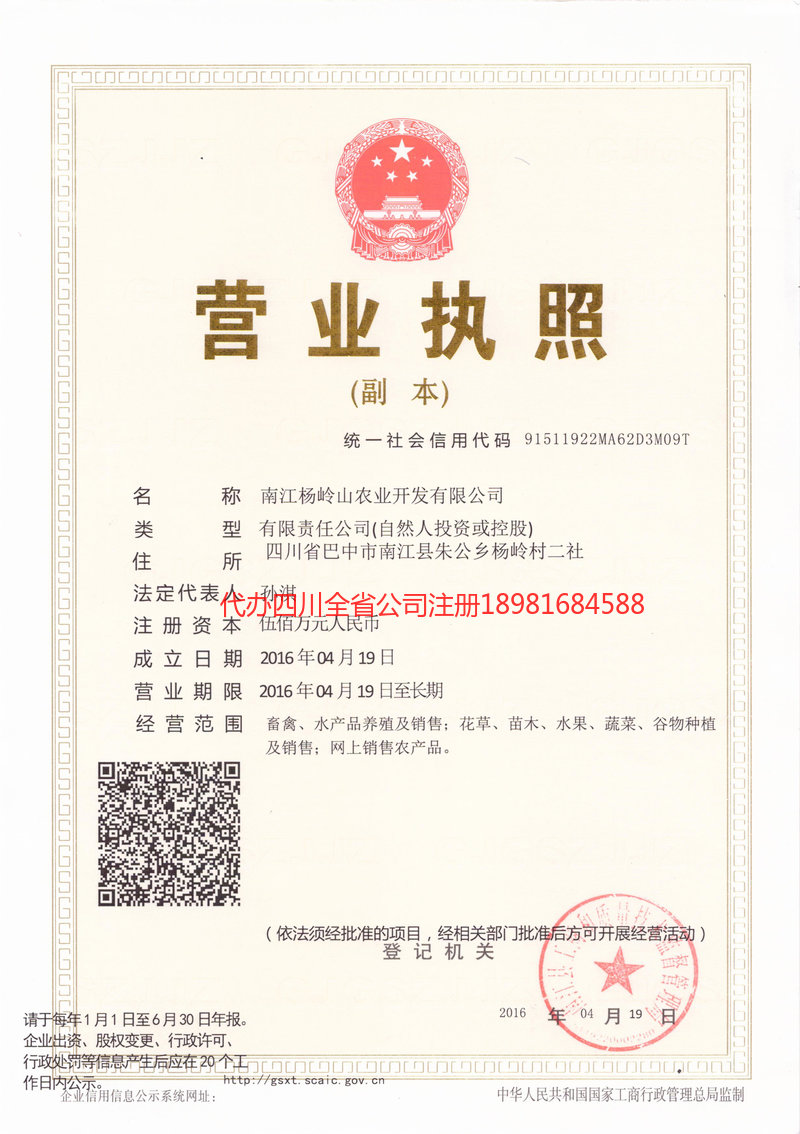 芒市芒市杨岭山农业开发有限公司